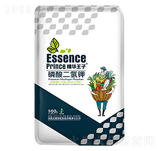 500g��������-���A����-���S�ط�