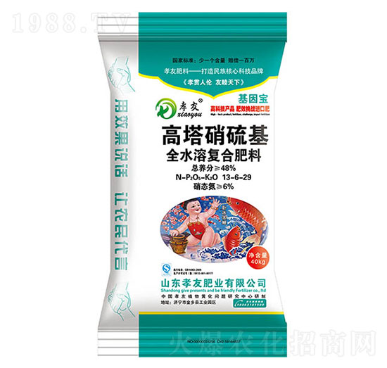 ���������ȫˮ�܏ͺϷ���13-6-29-Т��