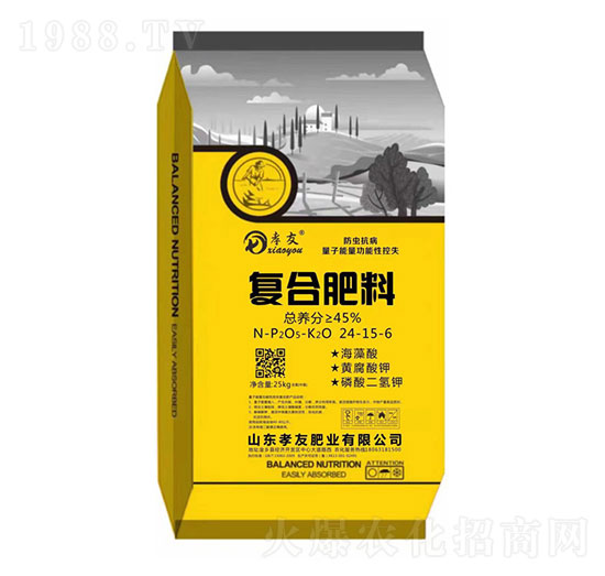 ���x�����������������Կ�ʧ�ͺϷ�24-15-6-Т��