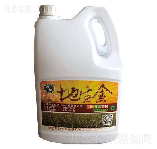 ������-������-����ţ