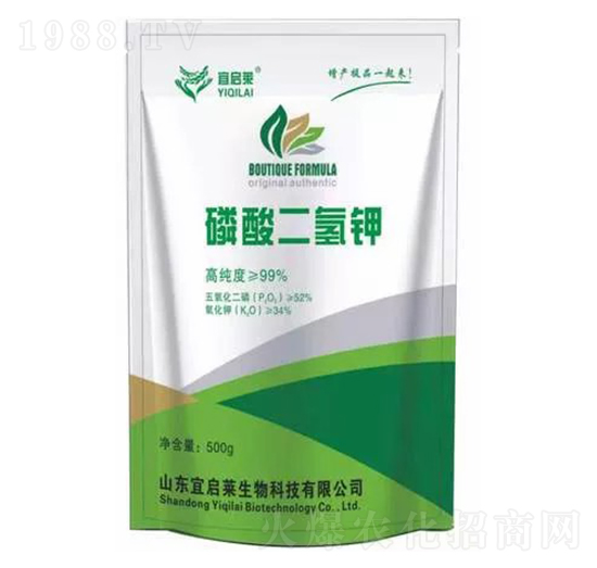 �������⛣�500g��-�ˆ��R