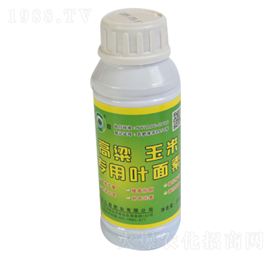 �������׌����~����-���̷ʘI(y��)