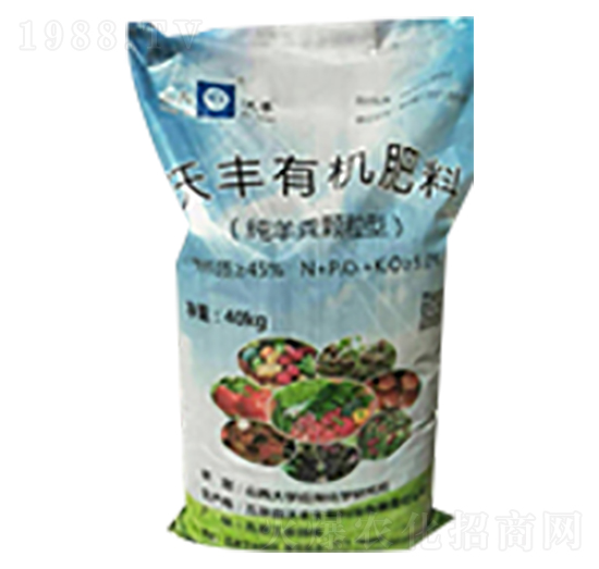 ���S�ЙC����-���S����