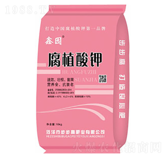 ��ֲ���-�Έ@-�����߷ʘI(y��)