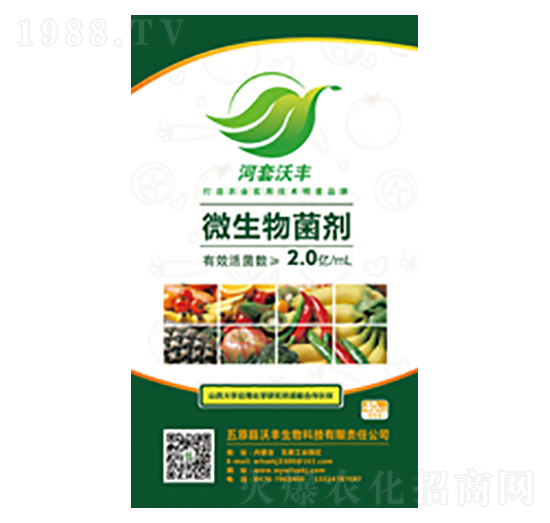 ΢�������-���S����