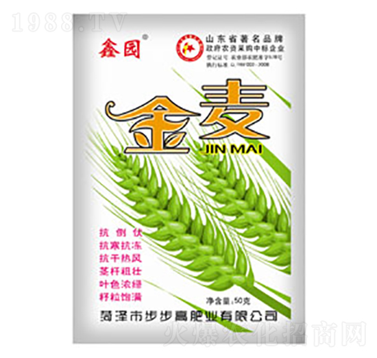 ����-�ΰ�-�����߷ʘI(y��)