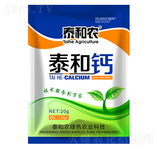 20g̩���}-������r