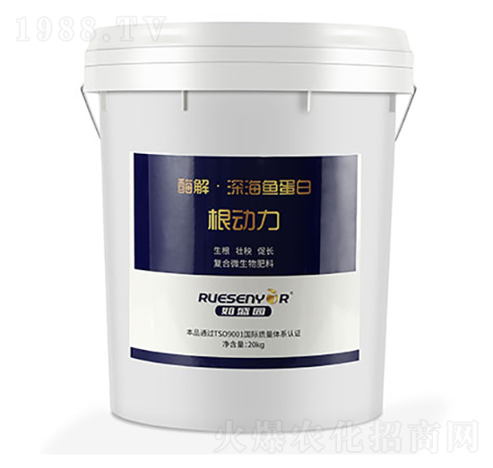 ø����~����-������-����������