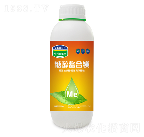 �Ǵ������V-�пƝ����S