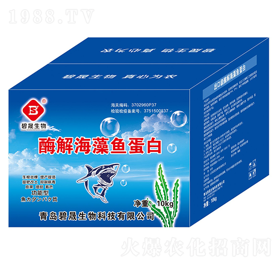 ø�⺣���~����-��������