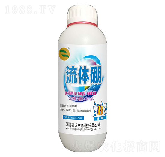 ���w��-�\������