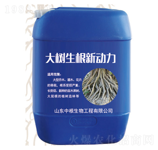 ���������(d��ng)��-�и�����