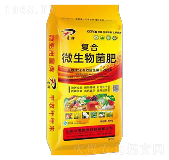 �ͺ�΢�������-��������