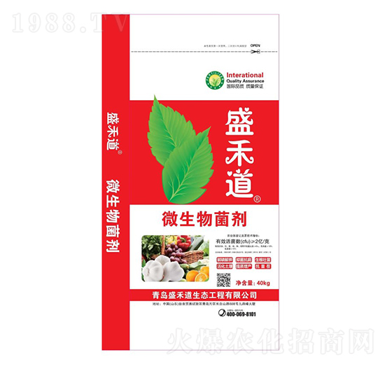 ΢�������-ʢ�̵�