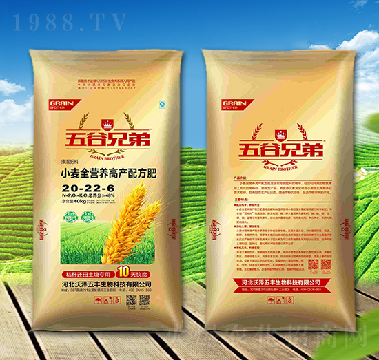 ȫ�I(y��ng)�B(y��ng)С��һ�η�20-22-6-�֝����S