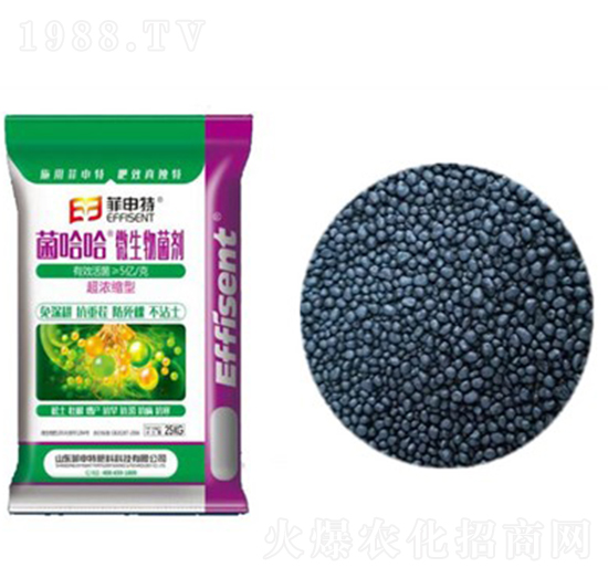 ������΢�������-������