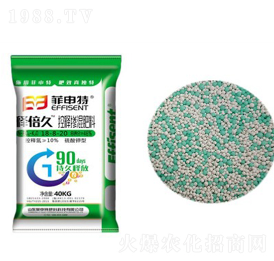 ��ጓ������18-8-20-ጱ���-������