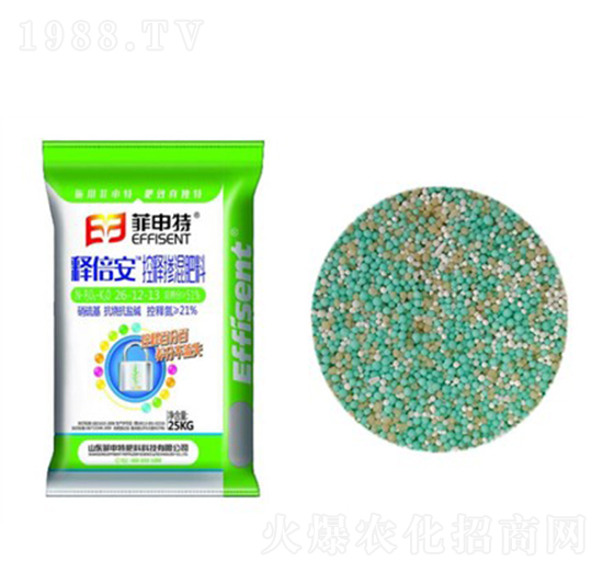 ��ጓ������26-12-13-ጱ���-������