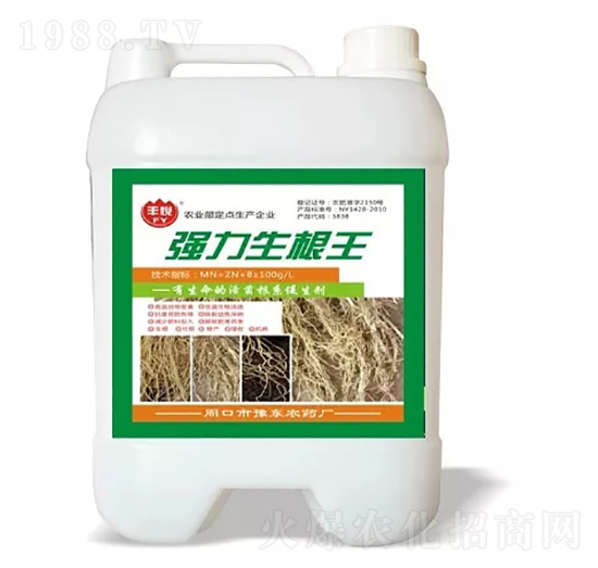 ����������-�S��-ʷ�Ͽ�