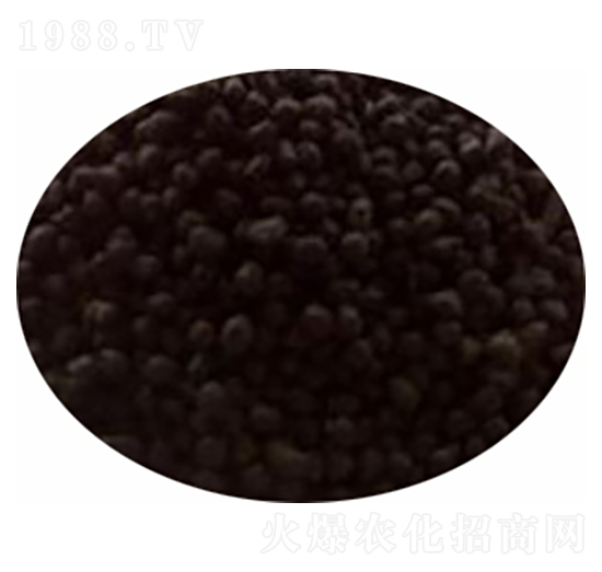 果樹專用肥-鄲農(nóng)肥業(yè)