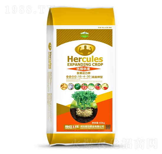 ���������������16-4-30-��(y��u)����(y��u)��-ǰ�طʘI(y��)