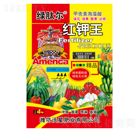 �G�Ġ��t���-�G�Ġ�-���ǷʘI(y��)