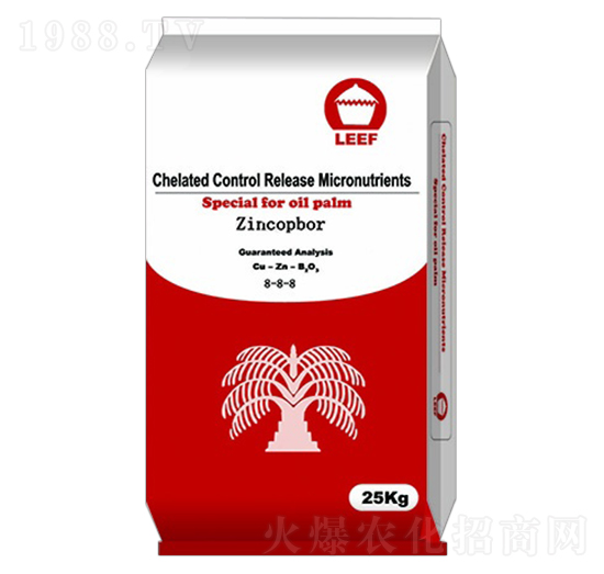 �~�\��12-6-8-�Ŷ�-�����Ƽ�