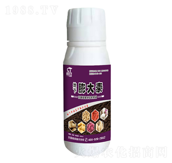 ���������-����-�֮��