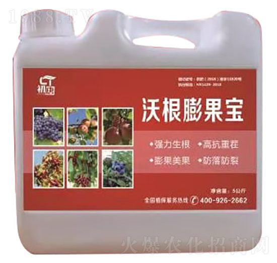 �ָ������-����-�֮��