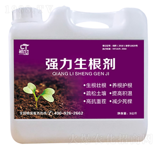 ����������-����-�֮��