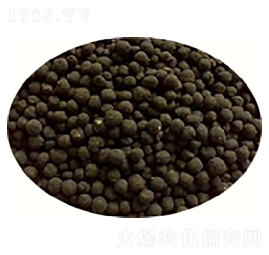 ��S�ЙC(j��)���w��-��������