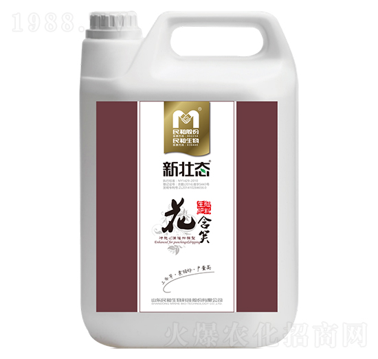 �_ʩ��-����Ц-�������