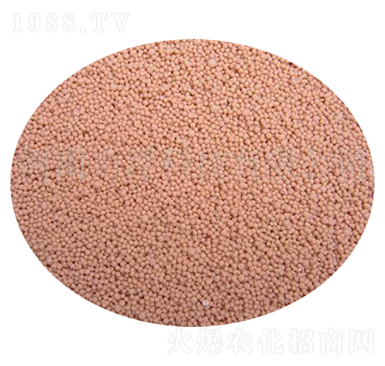 �ۺ����Ĥ�����-�����Ƽ�