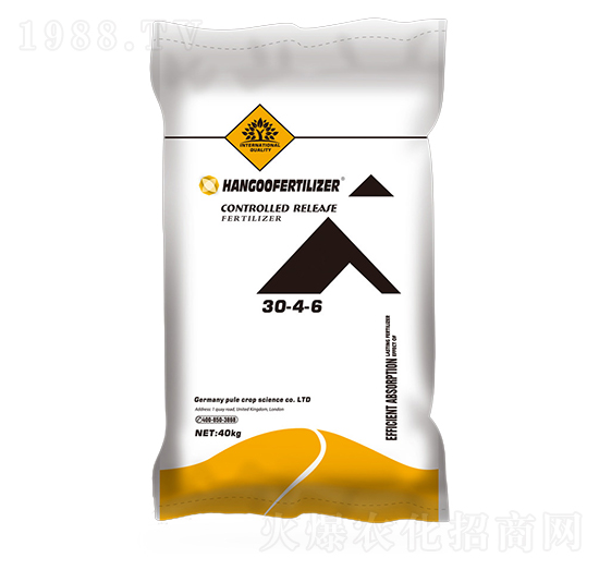 ��ጷ���30-4-6-�h��-�՘�����