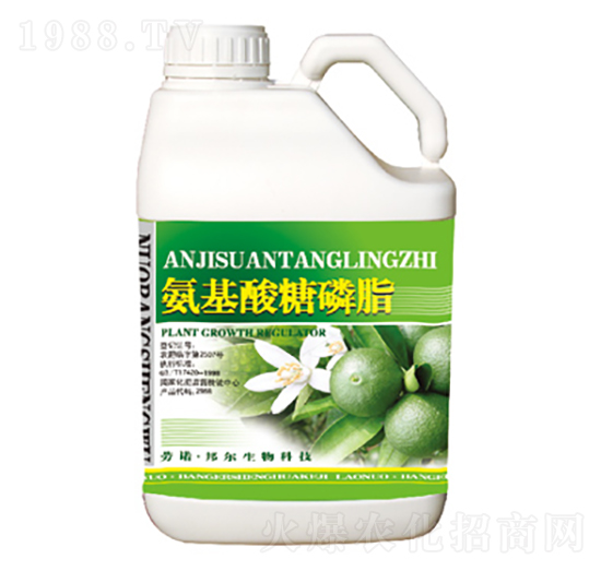 ����������֬-������