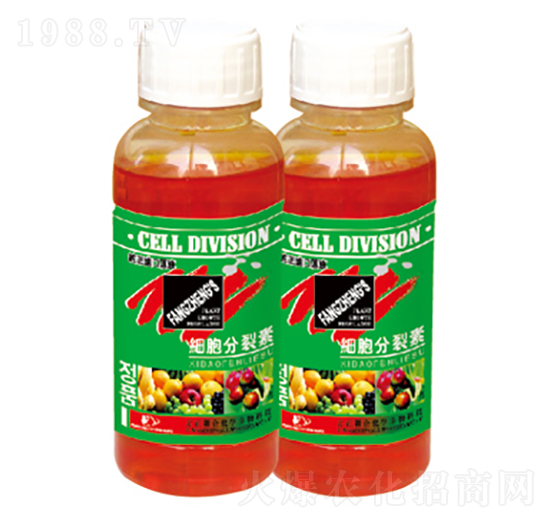 ����������-������