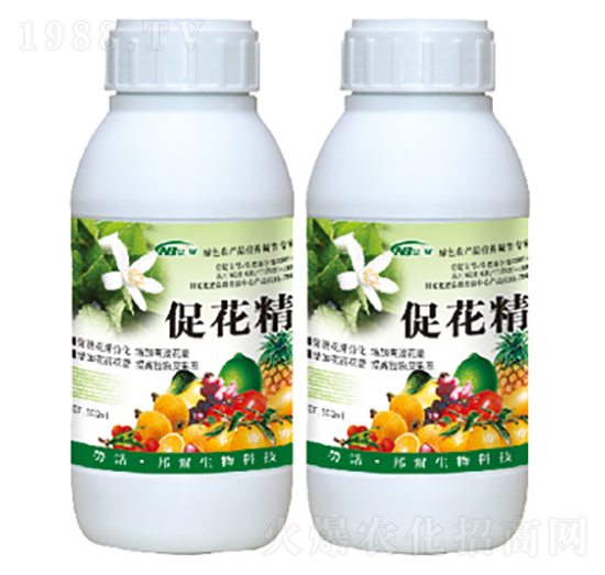 �ٻ���ѿ����-�ٻ���-������