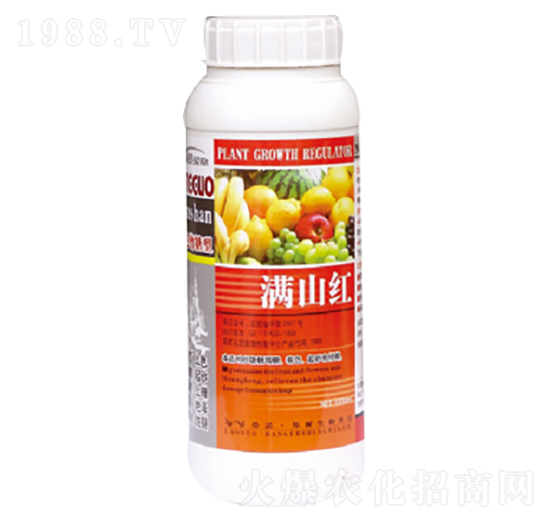 �Mɽ�t-������