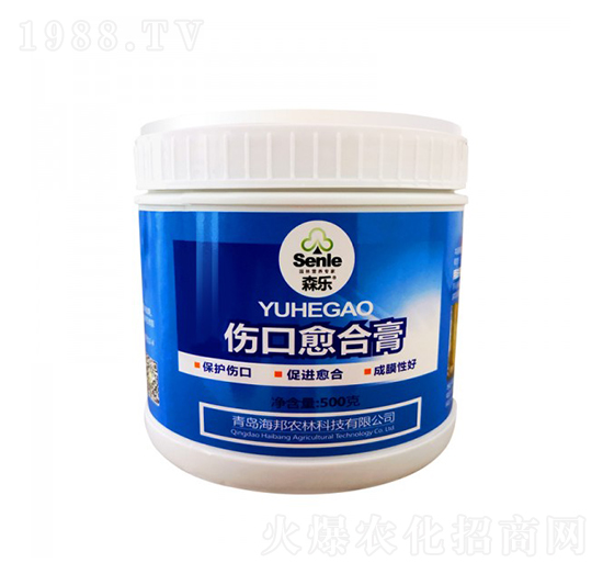 �������ϸ�-��᷾G��