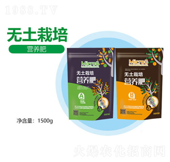 �o������I�B(y��ng)��-�S������