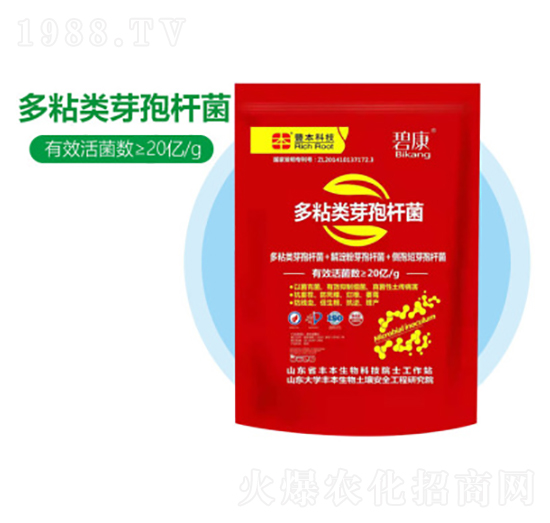 ��ճ�(l��i)ѿ�ߗU��-�S������