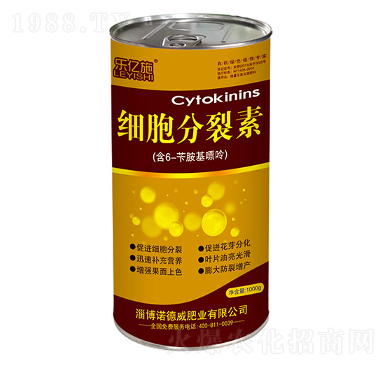 ����������-���|ʩ-�Z����