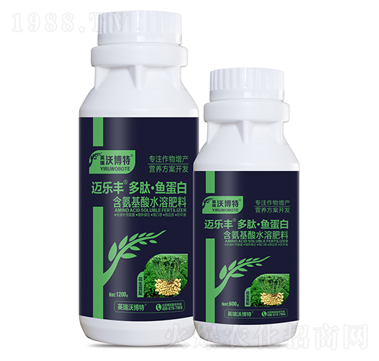 ����������ġ��~(y��)����-�~��(l��)�S-Ӣ���ֲ���