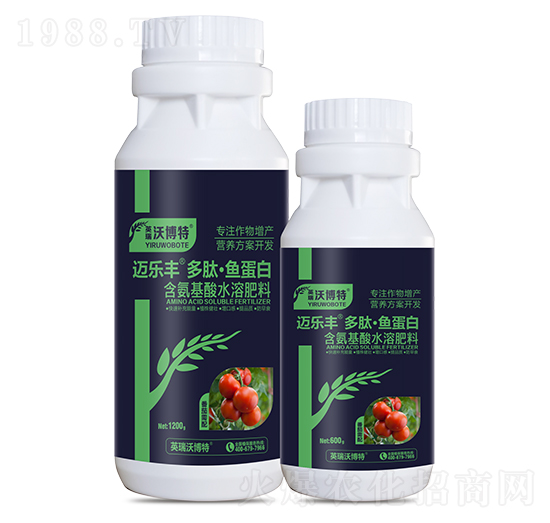 ����������ġ��~����-�~���S-Ӣ���ֲ���