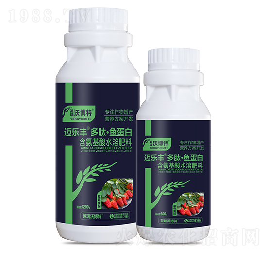 ��ݮ������ġ��~����-�~��(l��)�S-Ӣ���ֲ���