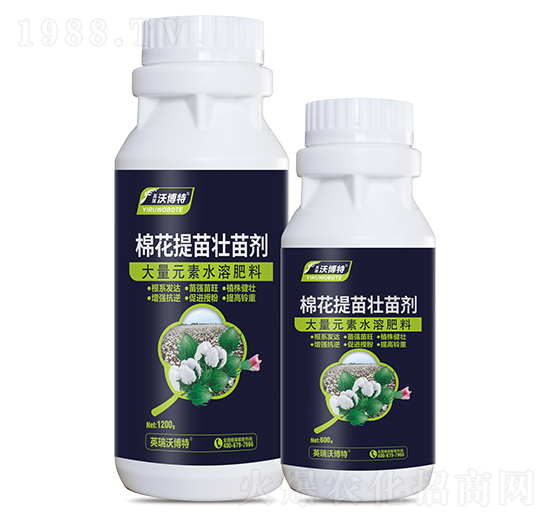 �޻�������焩-Ӣ���ֲ���