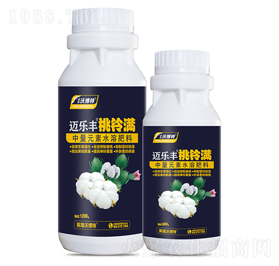 ��⏝M-�~��(l��)�S-Ӣ���ֲ���