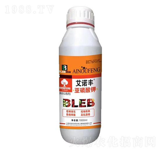 ���Z�S�������-�٘���