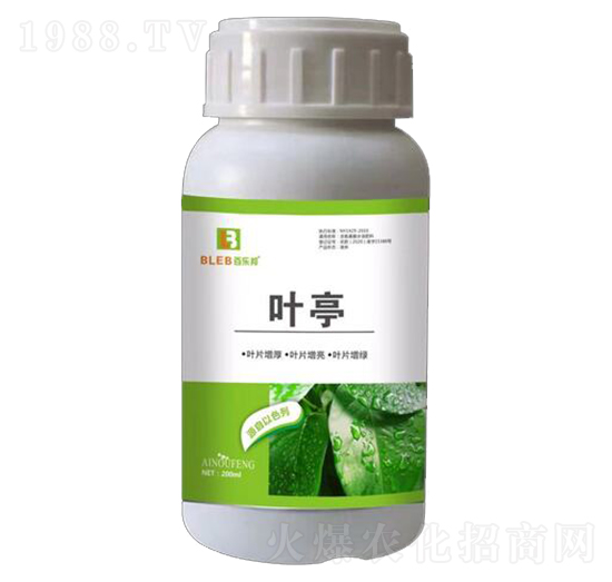 �~ͤ-�٘���