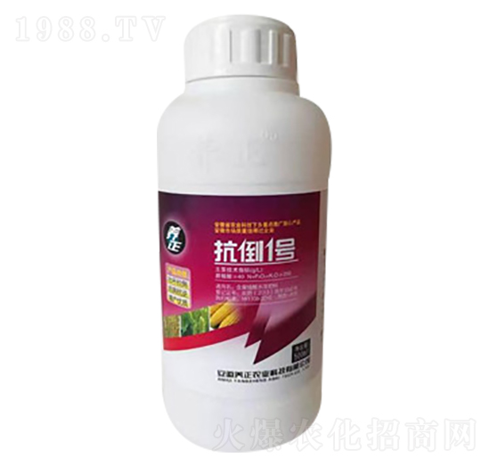 ����1̖(h��o)-�B(y��ng)��